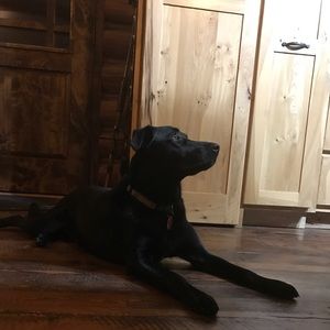 Meet your Posher, Carrie